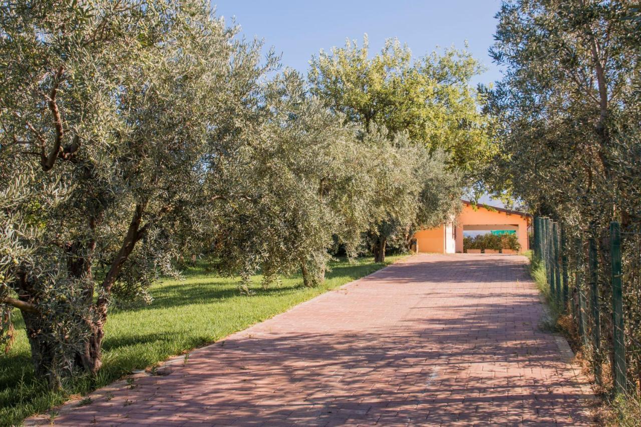 Villa Con Piscina Casale Di Gio Nel Golfo Di Castellammare Партинико Екстериор снимка